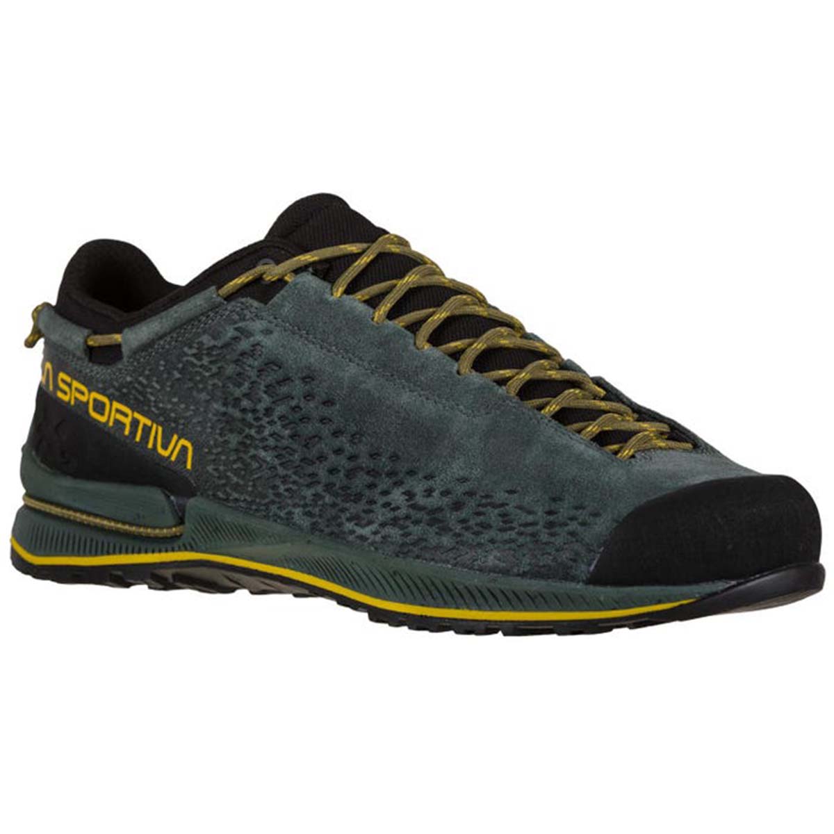 TX2 Evo Leather Mens Approach Shoes Grey