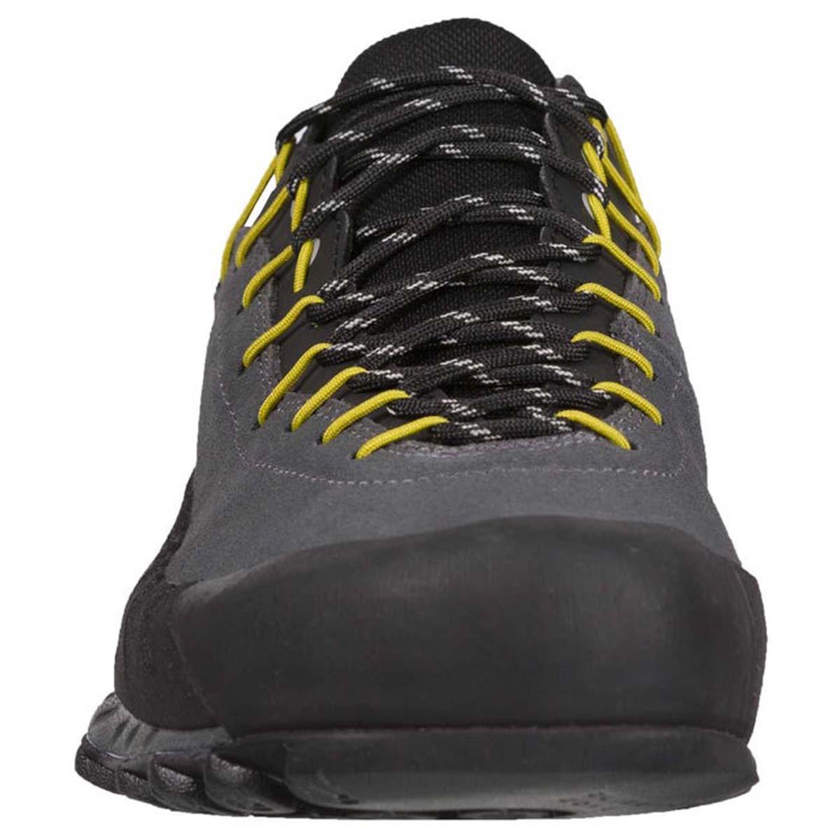 TX4 GTX Mens Approach Shoes Grey