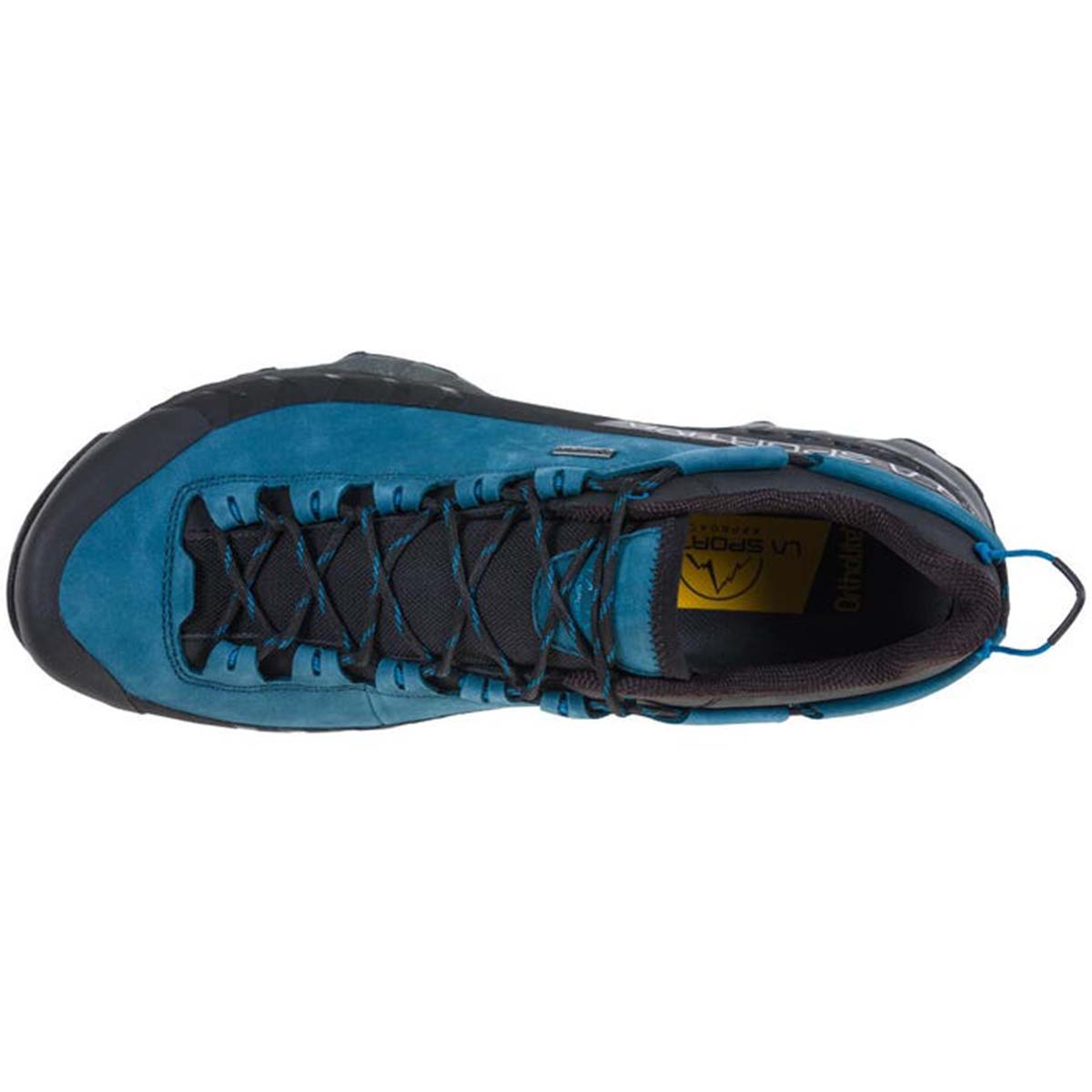 TX5 Low GTX Mens Hiking Shoes Blue