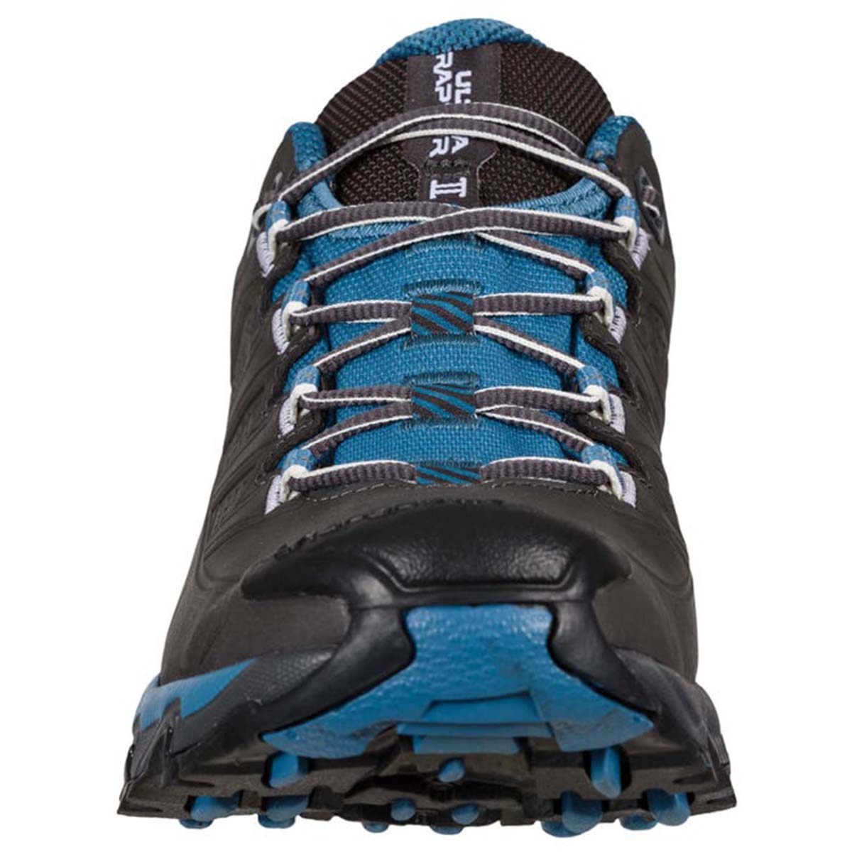 Ultra Raptor II Leather GTX Womens Hiking Shoes Grey
