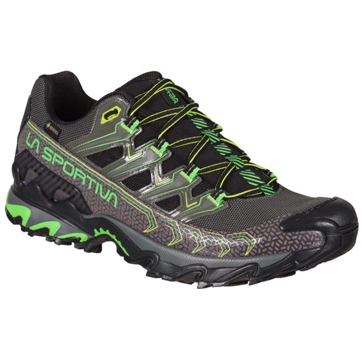 Ultra Raptor II GTX Mens Hiking Shoes Grey