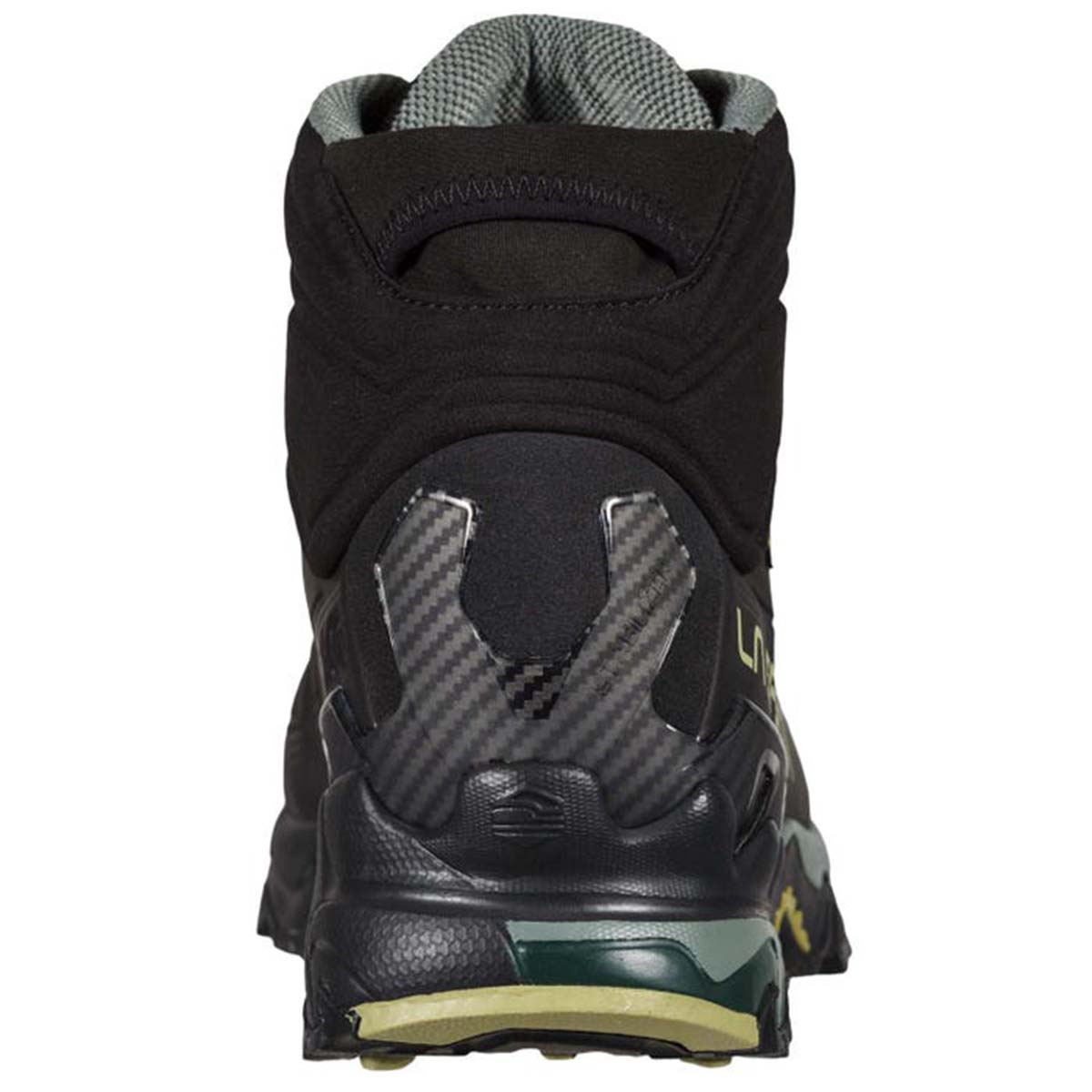 Ultra Raptor II Mid Leather GTX Mens Hiking Shoes Black