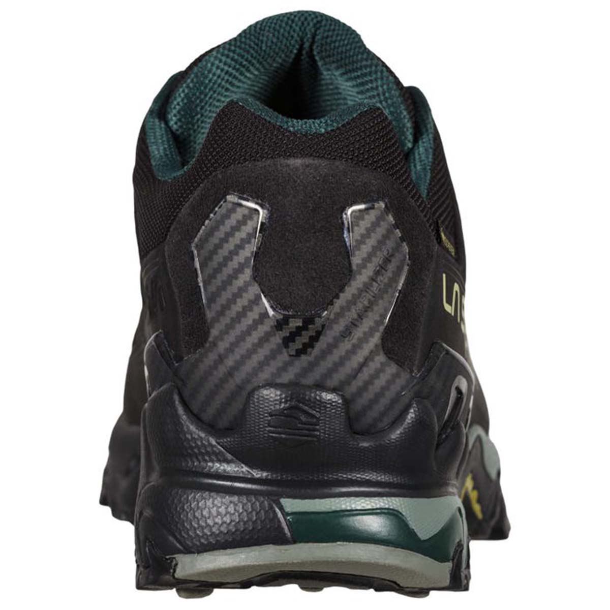 Ultra Raptor II Leather GTX Mens Hiking Shoes Black