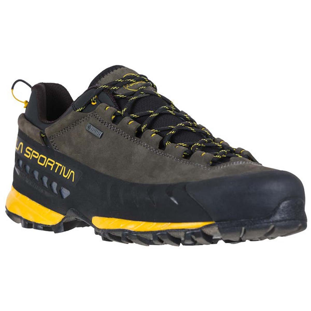 TX5 Low GTX Mens Hiking Shoes Grey