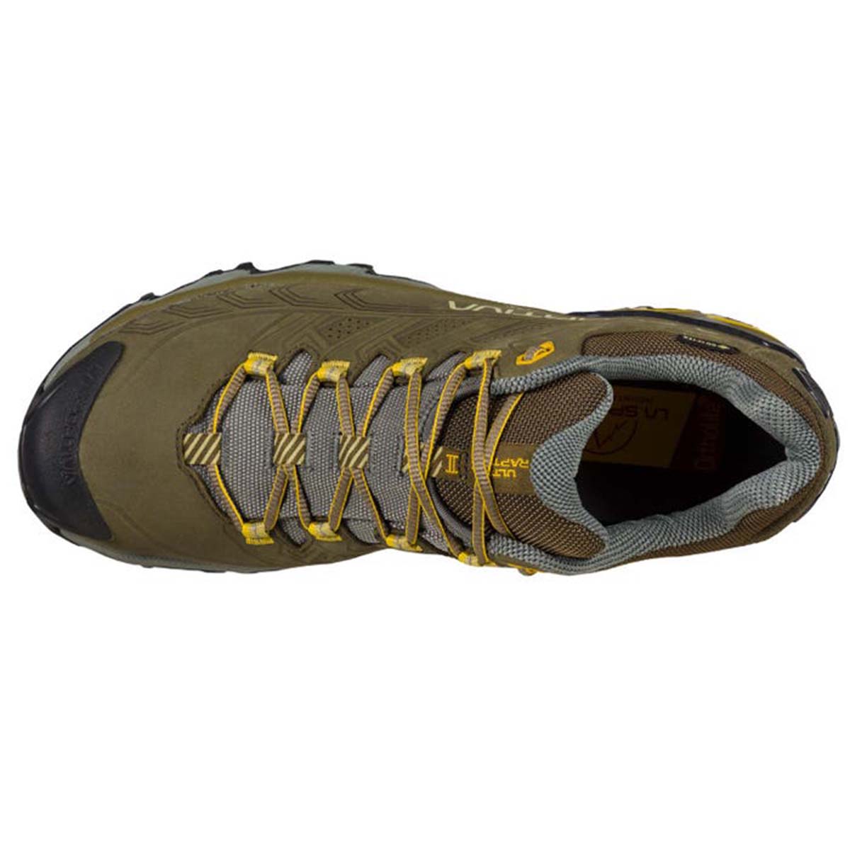 Ultra Raptor II Leather GTX Mens Hiking Shoes Brown