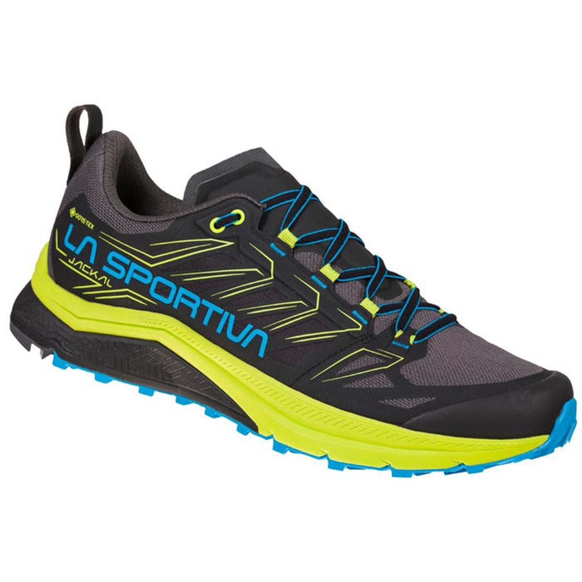 Jackal GTX Mens Trail Running Shoes Black