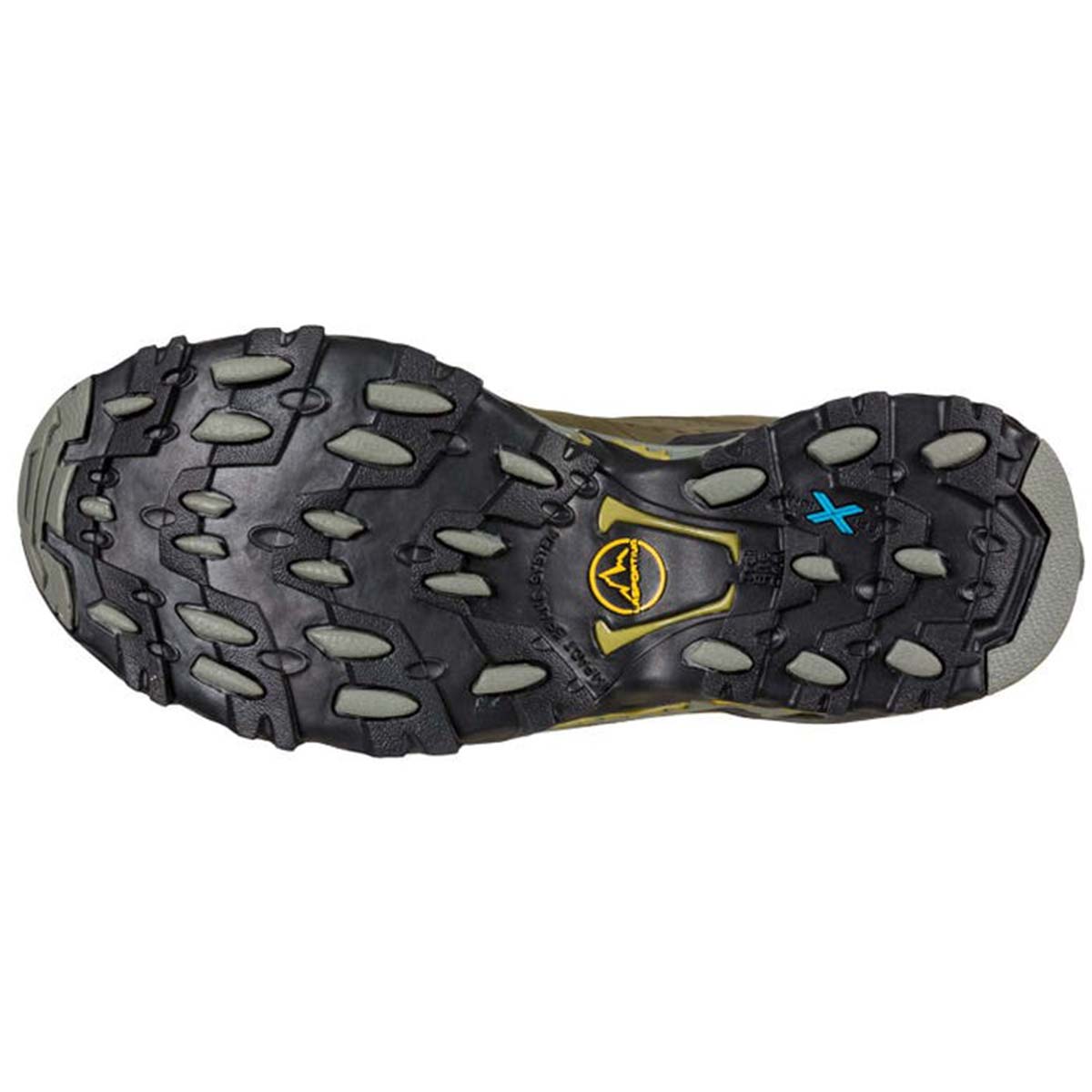 Ultra Raptor II Leather GTX Mens Hiking Shoes Brown