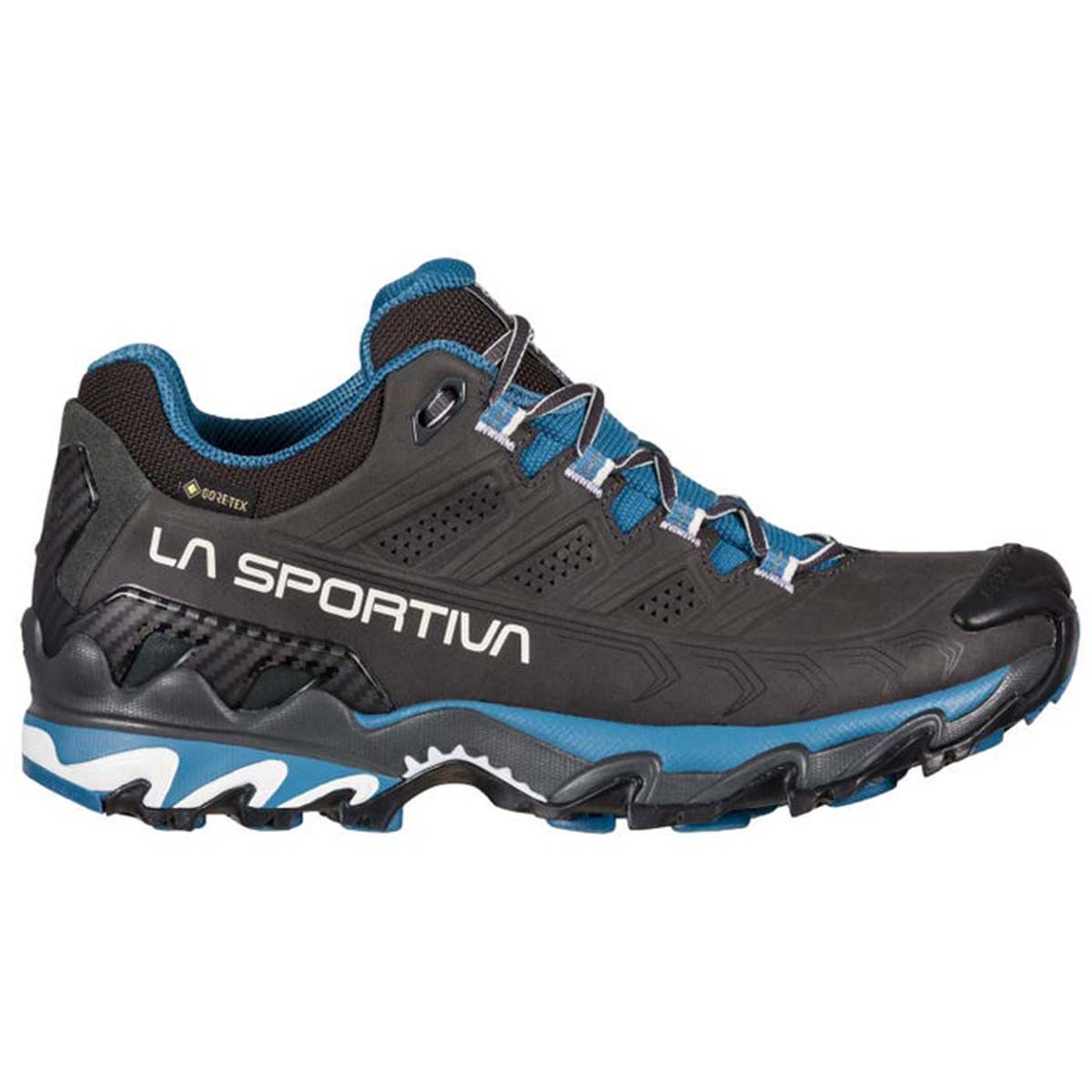Ultra Raptor II Leather GTX Womens Hiking Shoes Grey