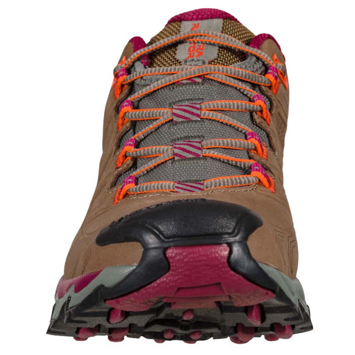 Ultra Raptor II Leather GTX Womens Hiking Shoes Brown