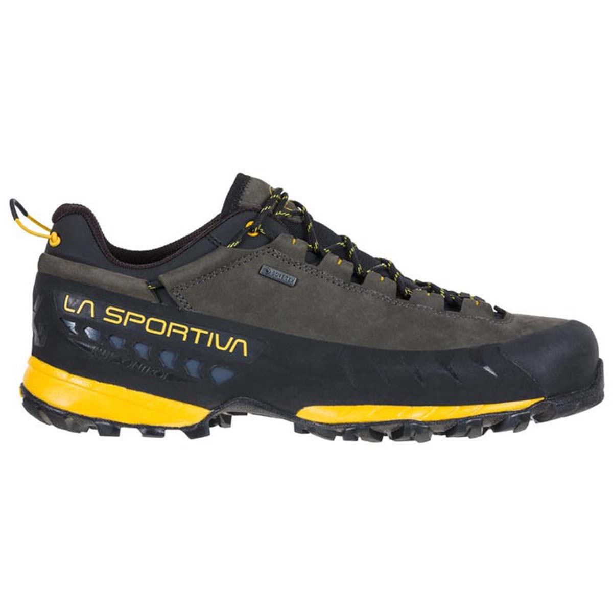 TX5 Low GTX Mens Hiking Shoes Grey