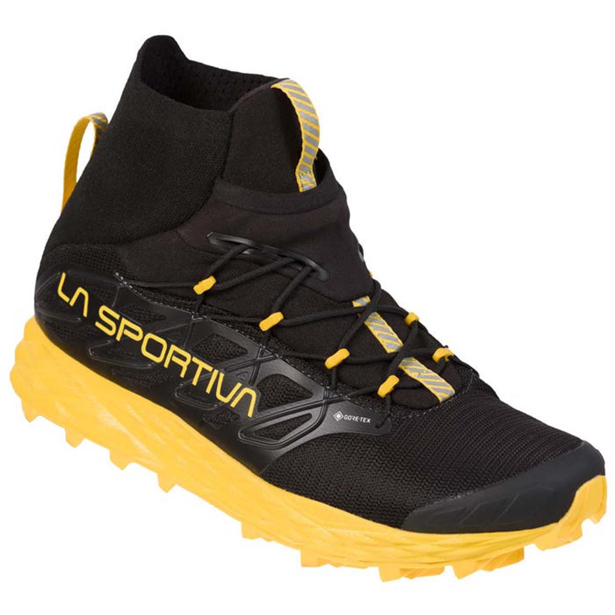 Blizzard GTX Mens Trail Running Shoes Black