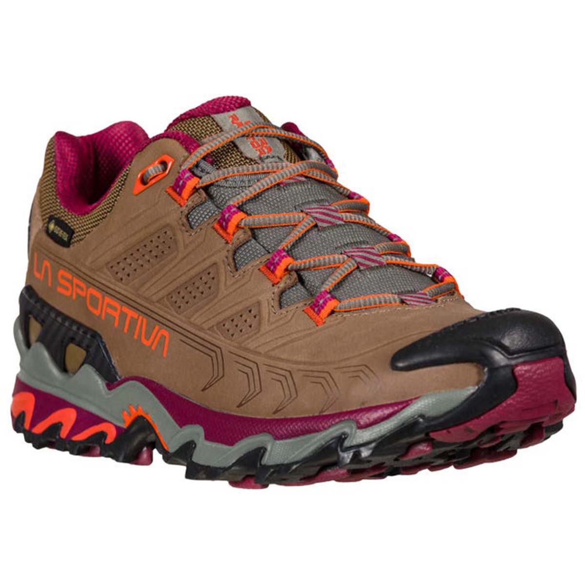 Ultra Raptor II Leather GTX Womens Hiking Shoes Brown