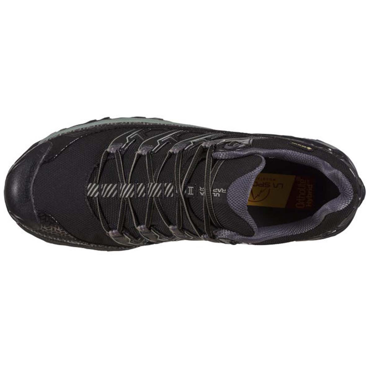 Ultra Raptor II GTX Mens Hiking Shoes Black