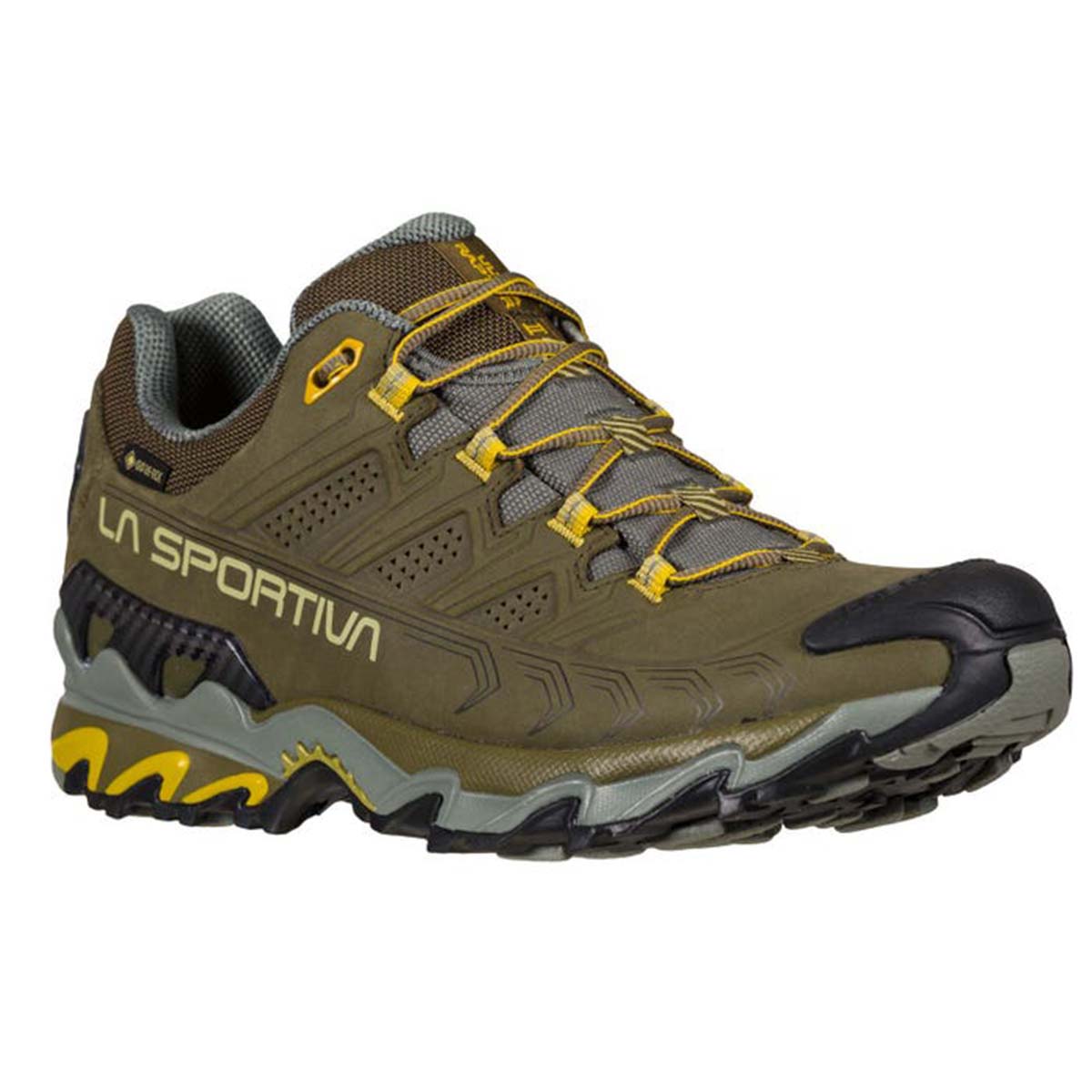 Ultra Raptor II Leather GTX Mens Hiking Shoes Brown