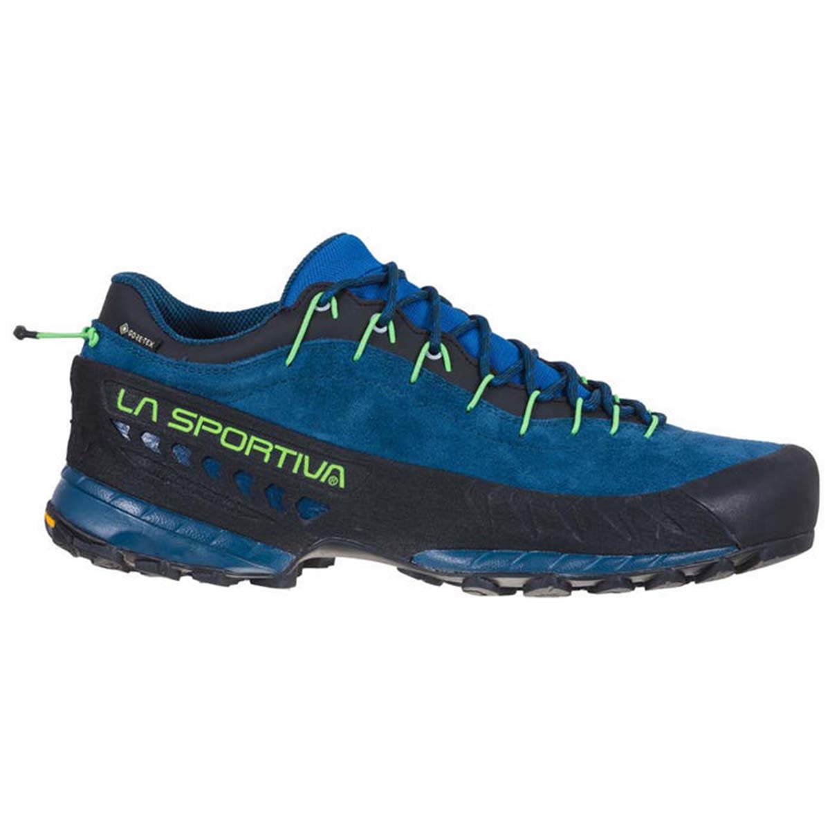 TX4 GTX Mens Approach Shoes Blue