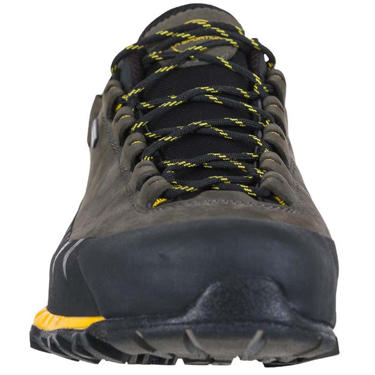 TX5 Low GTX Mens Hiking Shoes Grey
