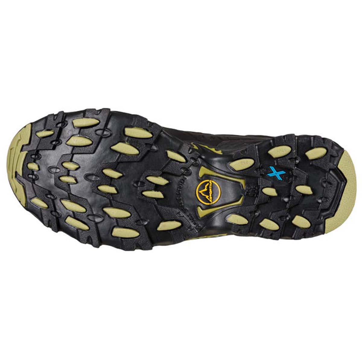 Ultra Raptor II Mid Leather GTX Mens Hiking Shoes Black