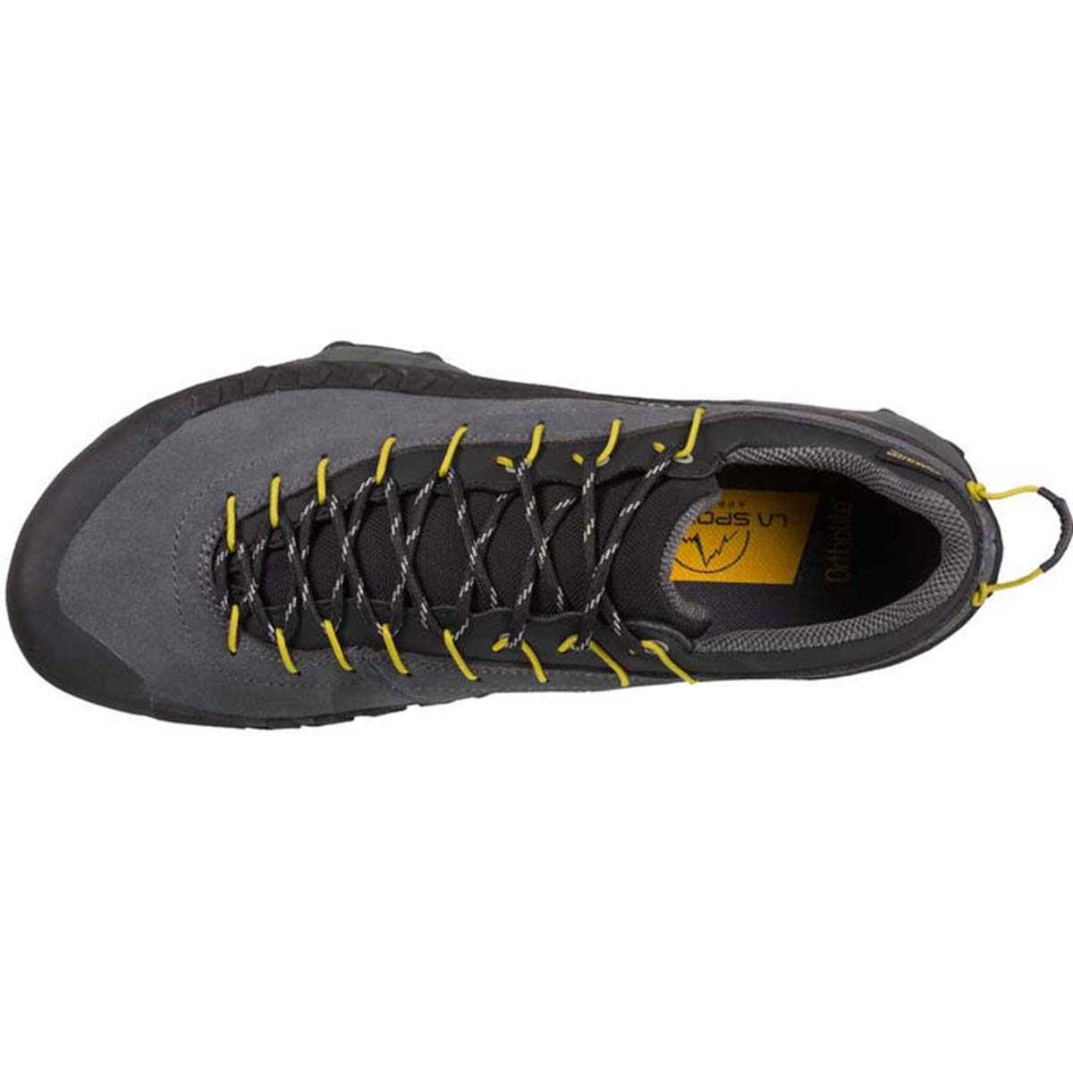 TX4 GTX Mens Approach Shoes Grey