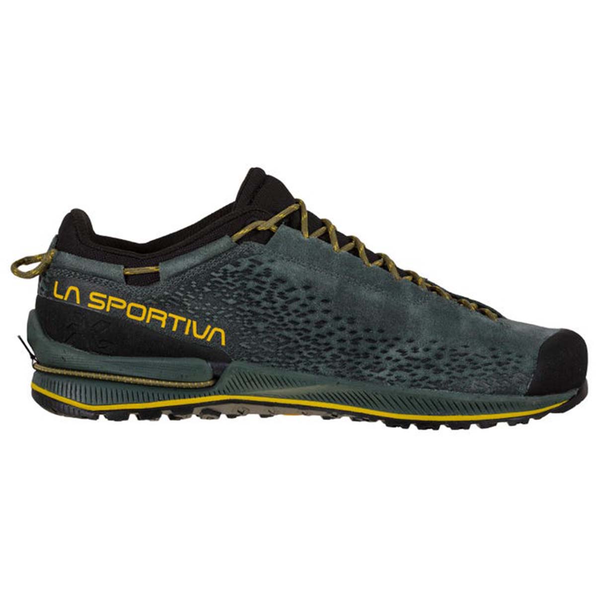 TX2 Evo Leather Mens Approach Shoes Grey