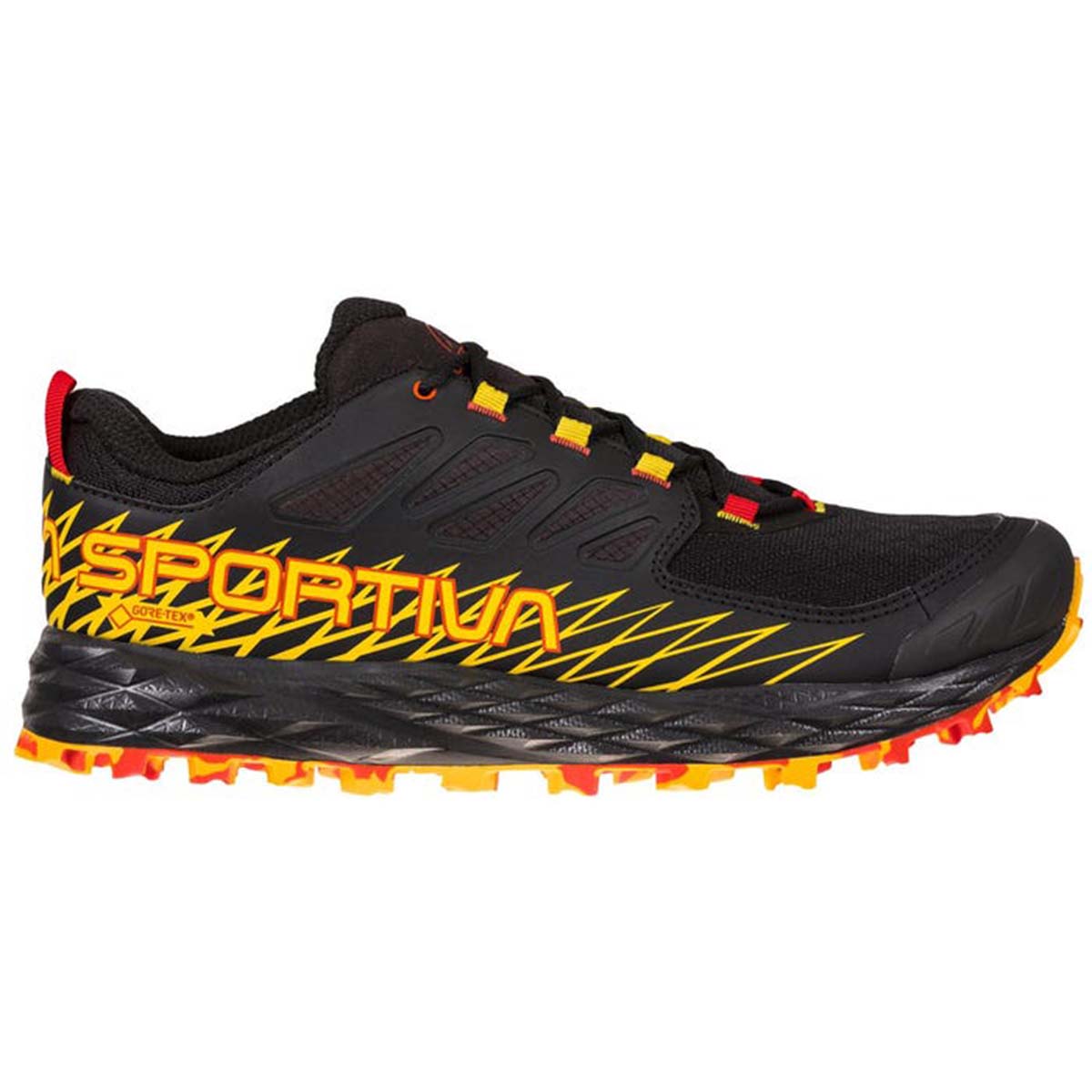 Lycan GTX Mens Trail Running Shoes Black