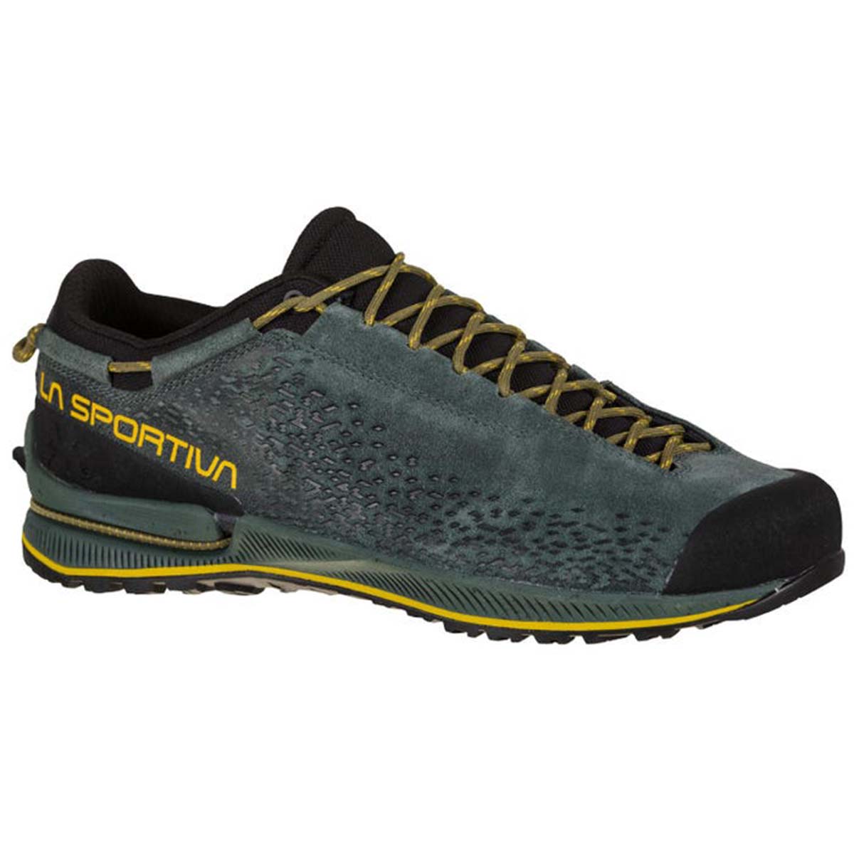 TX2 Evo Leather Mens Approach Shoes Grey
