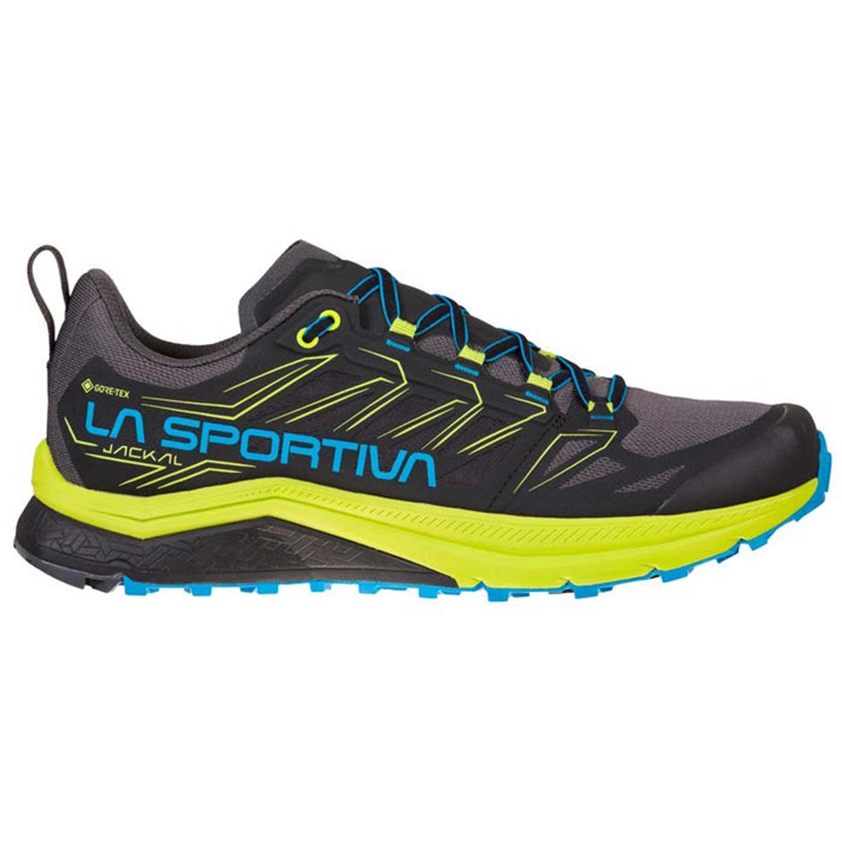 Jackal GTX Mens Trail Running Shoes Black