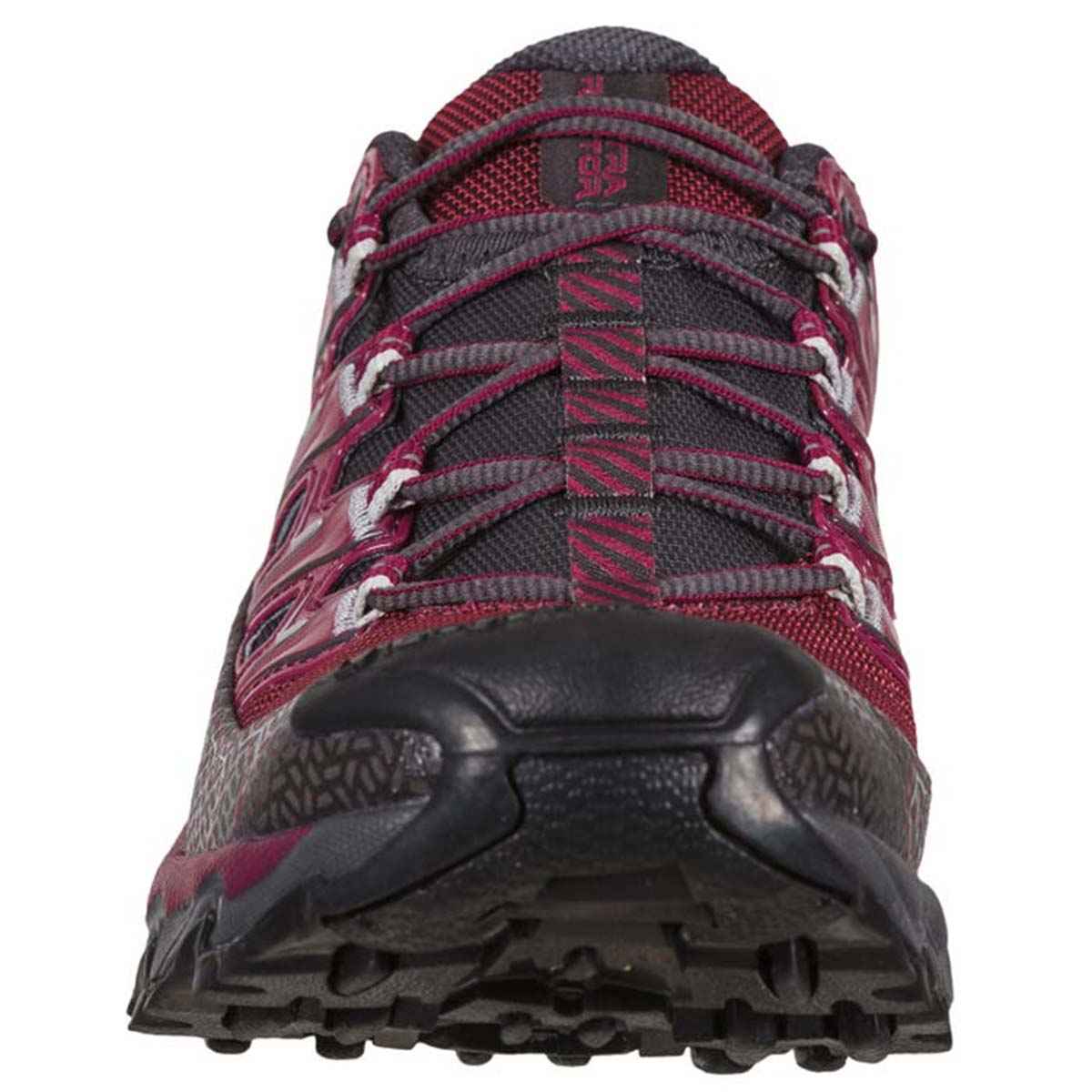 Ultra Raptor II GTX Womens Hiking Shoes Purple