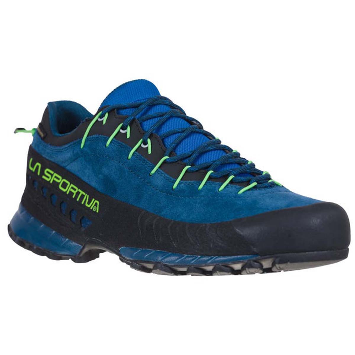 TX4 GTX Mens Approach Shoes Blue