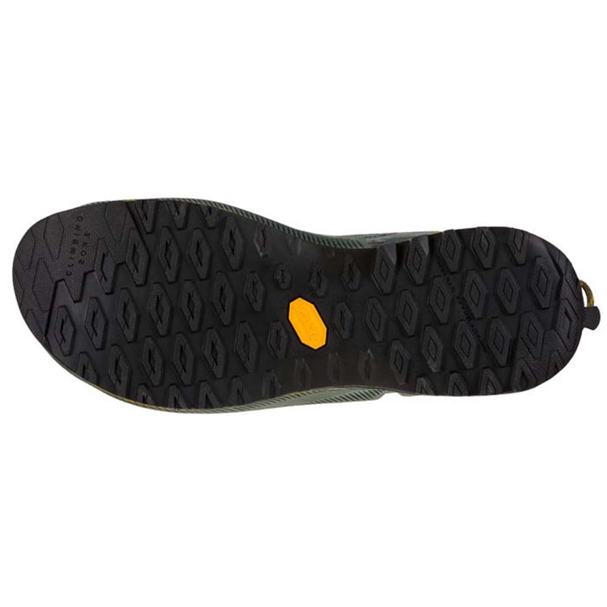 TX2 Evo Leather Mens Approach Shoes Grey