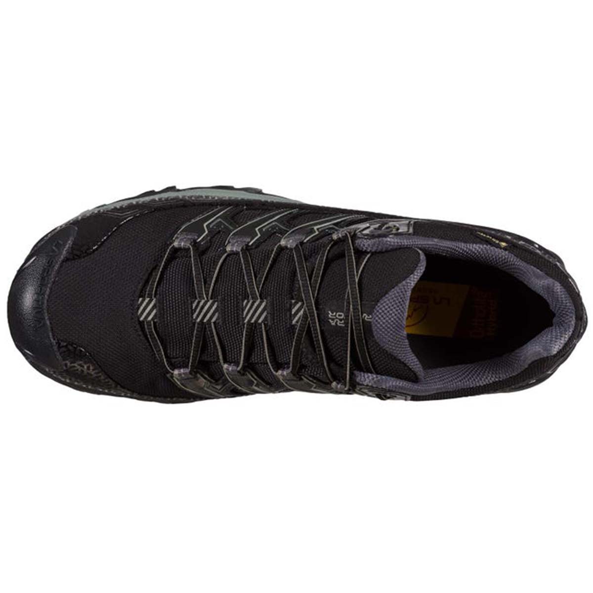 Ultra Raptor II Wide GTX Mens Hiking Shoes Black