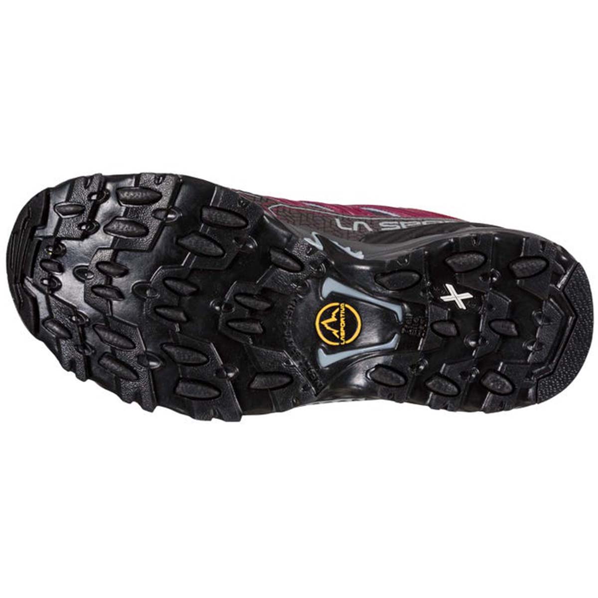 Ultra Raptor II GTX Womens Hiking Shoes Purple