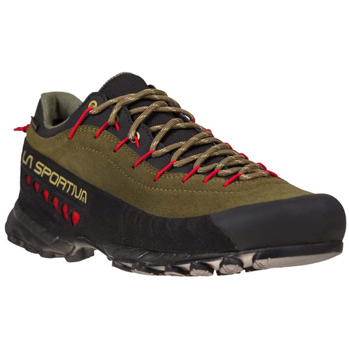 TX4 GTX Mens Approach Shoes Brown