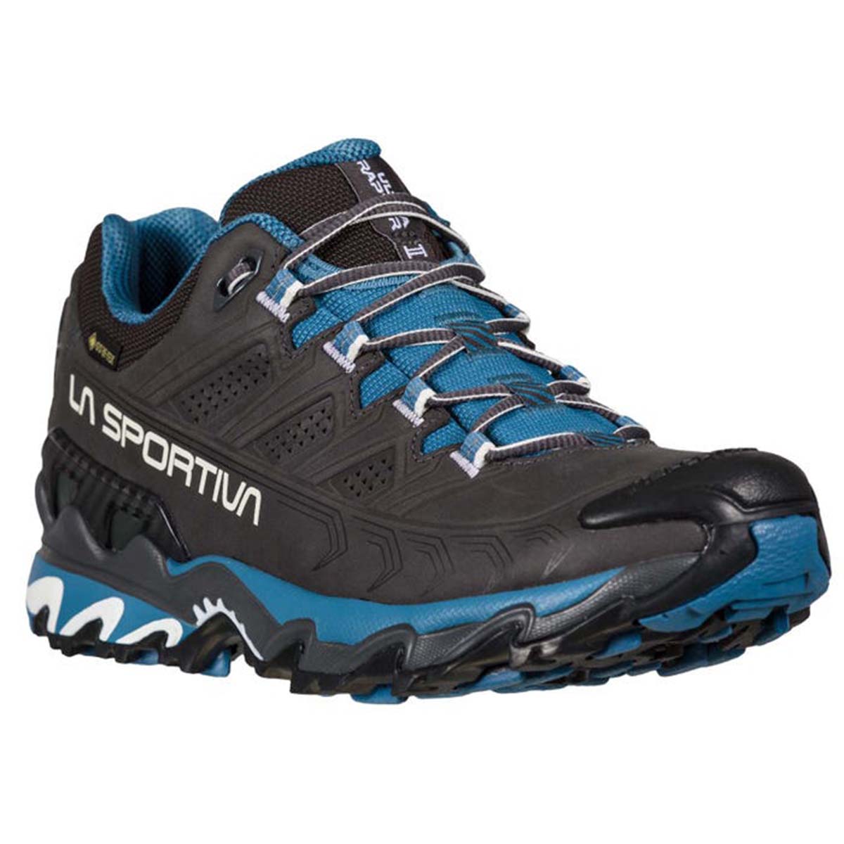 Ultra Raptor II Leather GTX Womens Hiking Shoes Grey