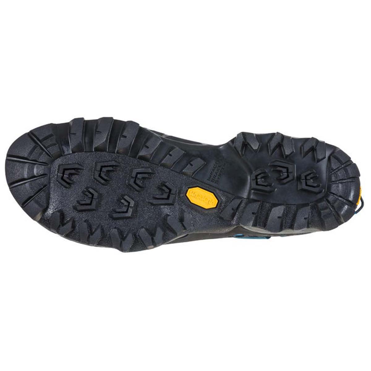 TX5 Low GTX Mens Hiking Shoes Blue