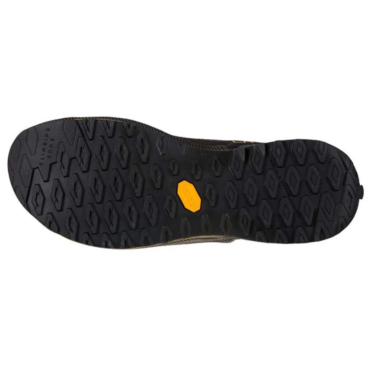 TX2 Evo Mens Approach Shoes Black
