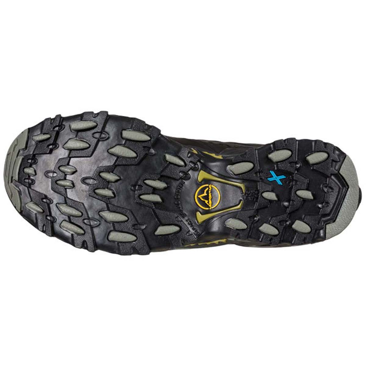 Ultra Raptor II Leather GTX Mens Hiking Shoes Black