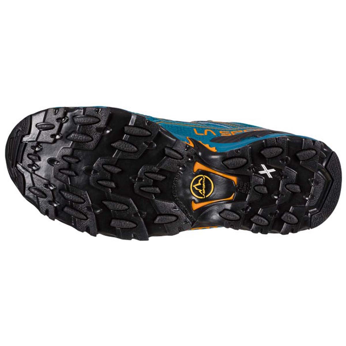Ultra Raptor II GTX Mens Hiking Shoes Blue