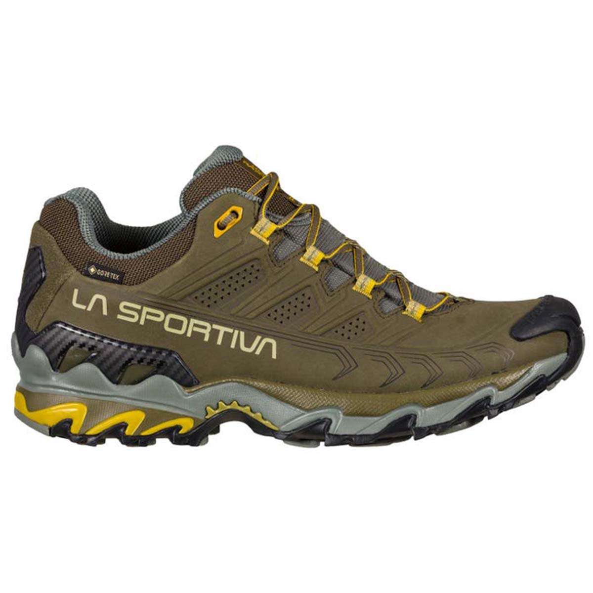 Ultra Raptor II Leather GTX Mens Hiking Shoes Brown